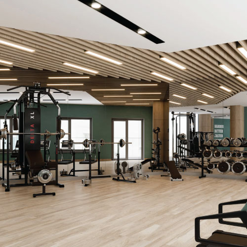 fitness